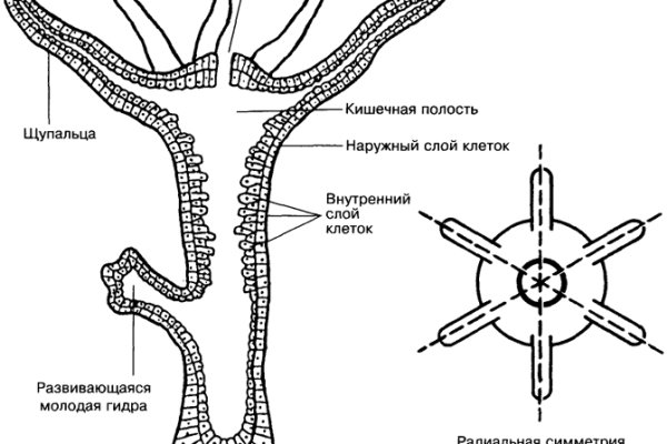 Кракен наркомаркет